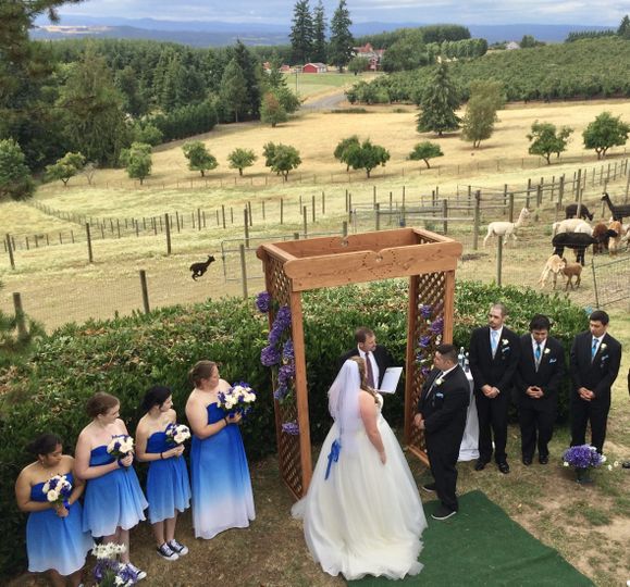 Alpacas of Oregon