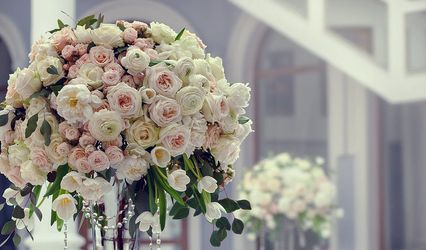 The Orchid-Luxury Flower Design