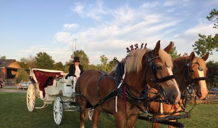 Harmon's Horse Drawn Carriages + White Mares for Baraats