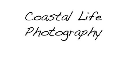 Coastal Life Photography