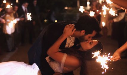 Love Birds Wedding Videography