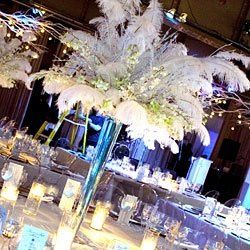 Elite Parties and More...