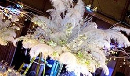 Elite Parties and More...