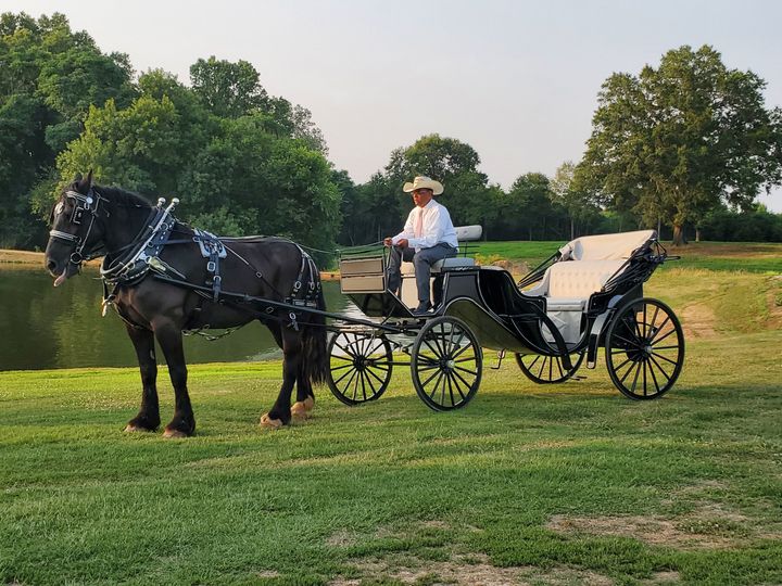 4 Seasons Carriage  Company