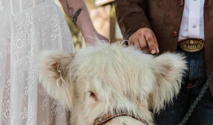 Udderlycaptured, LLC