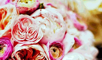 Vibrant Flowers