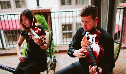 Amanda Gentile, violinist