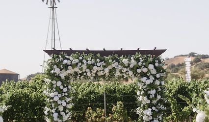 Lily And Poppy Events