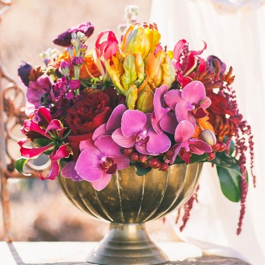 Julie D'Agostino Designs