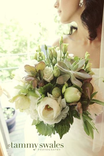Tammy Swales Photography