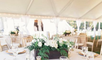 Amelia Events