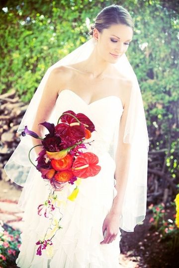 Kallisto Events