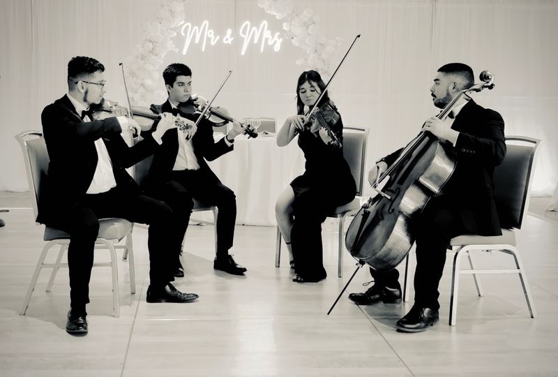 Sunset Chamber Strings