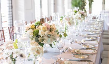 Marie Nicole Weddings and Elopements