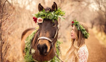 Danielle Joy Photography
