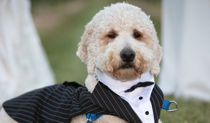 Furever Friends Pet Care LLC