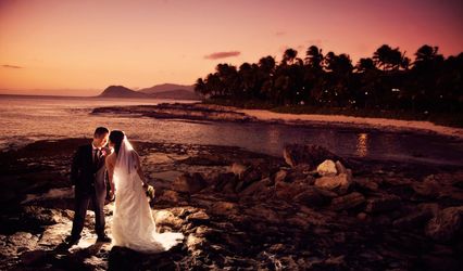 Marcia Campbell Photography