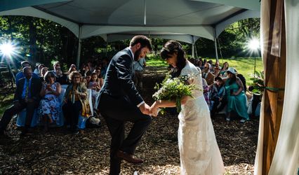 Curated Celebrations by Molly