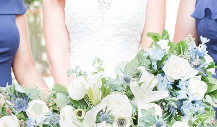 Leanor Taylor Photography
