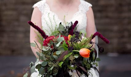 Cristin Powers Photography