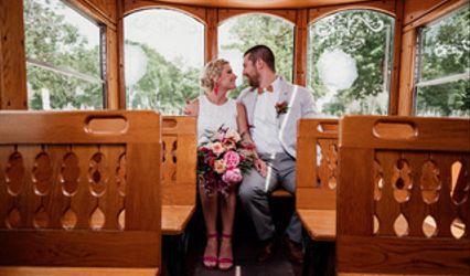 DMI Limousine & Trolley Services