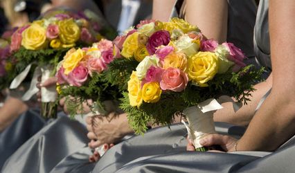 Kori Elizabeth Events