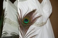 Barbara McGuckin