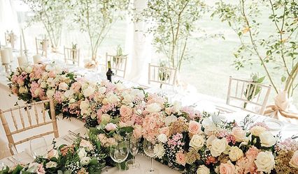 Weddings in Paradise
