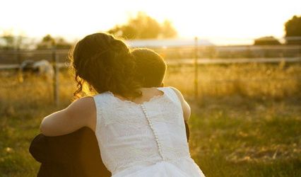 Tom Reeves Photography