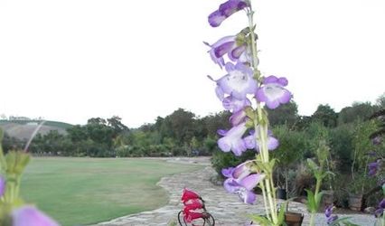 Pacifica Gardens