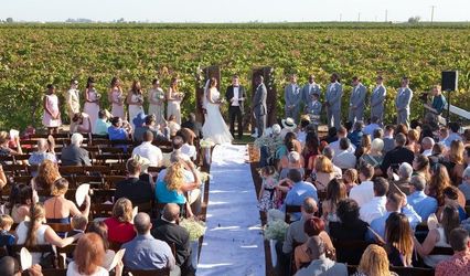 Moravia Wines