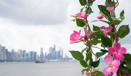Pier 115