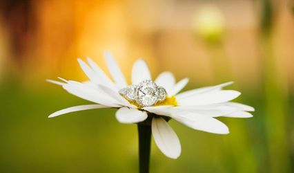 shannon hollman photography