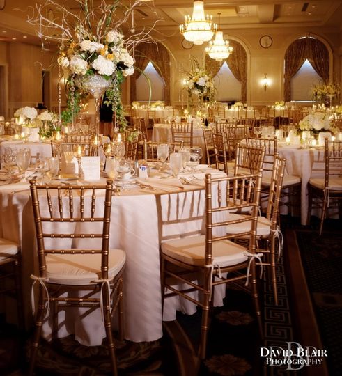 Fifty Chairs