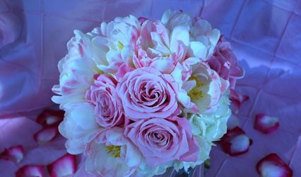 SunKissed Flowers