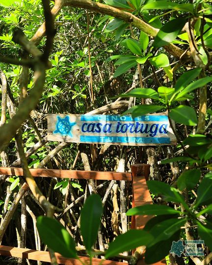 Cenotes Casa Tortuga Tulum
