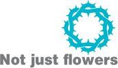 Not Just Flowers