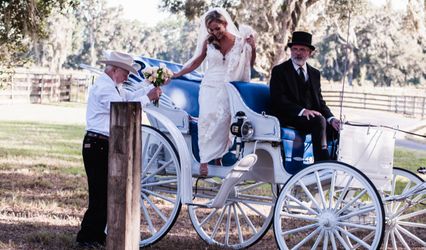 D Glenn Wedding Photography