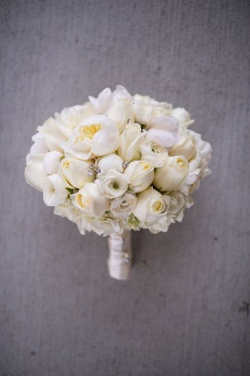 Johanna Terry Events