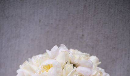 Johanna Terry Events
