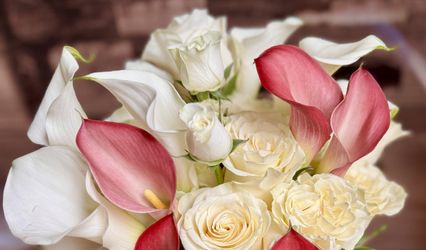Isabel’s Flowers