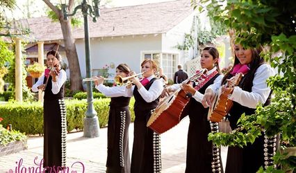 Mariachi Rubor