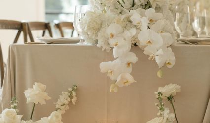 Too Weddings by Helen Verdi