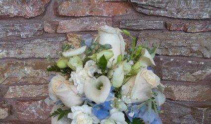 Blue Floral co.