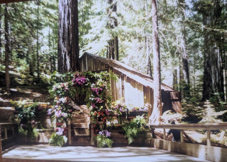 Redwood Grove and Gardens