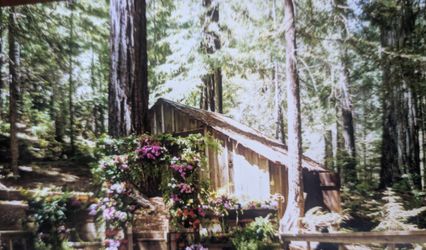 Redwood Grove and Gardens
