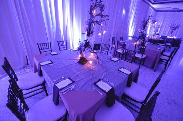 Weddings By Apollo