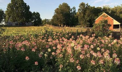Darnall Colonial Farm