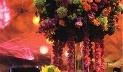Unforgettable Wedding Services