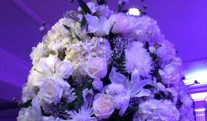Elegant Events & Occasions, LLC